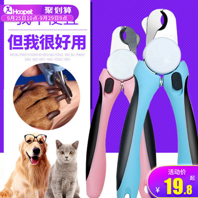 流浪貓收養(yǎng)指南 從收養(yǎng)到用品的全面注意事項(xiàng)