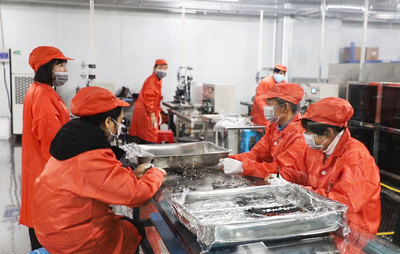 數(shù)字引擎驅(qū)動新篇章 岳陽市2021年產(chǎn)業(yè)項目建設(shè)流動現(xiàn)場會聚焦華容縣數(shù)碼產(chǎn)業(yè)發(fā)展